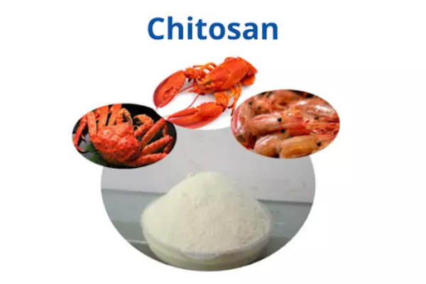 Chitosan-co-tac-dung-giup-chua-lanh-vet-thuong.webp